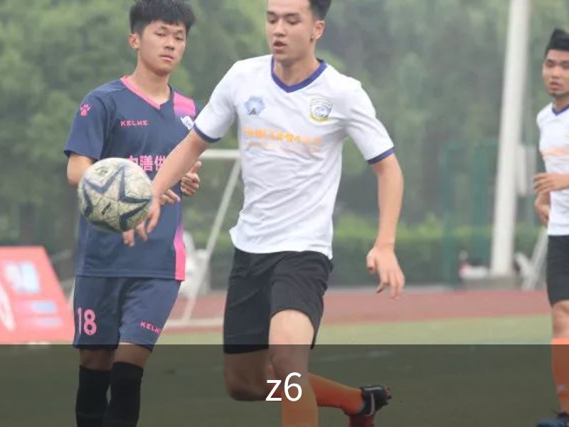 z6,z6尊龙,z6尊龙官网