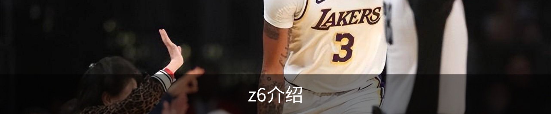 z6介绍