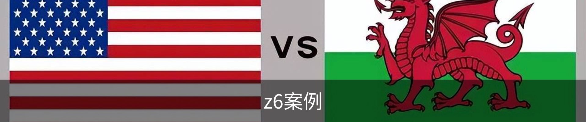 z6案例